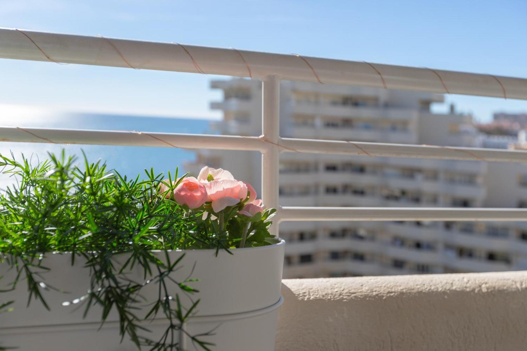 Apartamento Costa Del Sol 贝纳尔马德纳 外观 照片